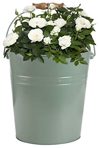 Dibor Sage Green Plant Pot Vintage Bucket Jardinière Planter Flower Pot 17L Spring Summer Fathers Day Gardening Gift (BR84)