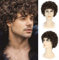FAELBATY Kurze braune lockige Afro Perücke für männlichen Kerl California Mens Cosplay Kostüm Tägliches Haar Synthetische Hitzebeständige Mens Volle Perücken 70er Jahre Disco Schmutztasche Perücke