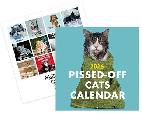 Mainiusi Katzenkalender 2026, Kalender 2026 Wandkalender Katzen PISSED-OFF CATS Kalender 2026 Katzen, Katzenkalender 2026 Wandkalender Katzen Tischkalender 2026 für Büro, Familien, Hotels(28x28cm)