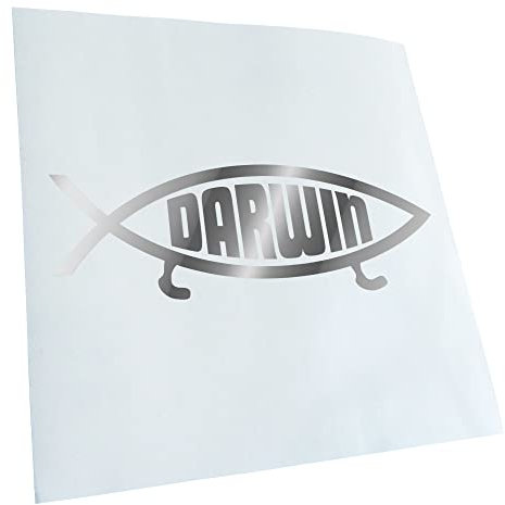 Kiwistar - Autoaufkleber - Chrom - 15x5cm Darwin Fisch - Heckscheibe Auto Aufkleber wetterfest für Kfz LKW Mofa Truck - Sticker außen selbstklebend Tuning Zubehör für Fenster Fahrzeug Scheibe