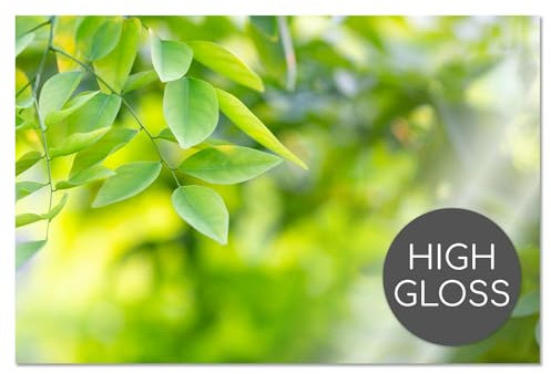 Küchen-Rückwand Spritzschutz I Dekor natur I 60 x 40 x 0.3 cm I grün I Fliesenschutz für den Herd und Spüle | Küche Zubehör | Arbeitsplatte I Fliesenspiegel I Aluverbund I dv798