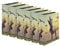 Original Falken 6er Pack Motiv-Ordner T-Rex. Made in Germany. 8 cm breit DIN A4 Ringordner Aktenordner Briefordner Büroordner Plastikordner Motivordner