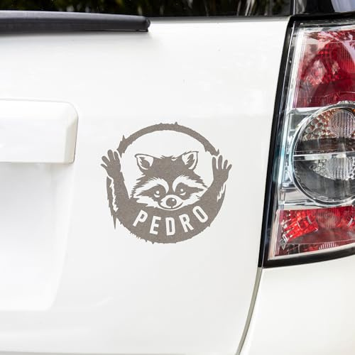 Autoaufkleber, Pedro Tiktok Star, Waschbär Aufkleber, Fenster Sticker (Silber)