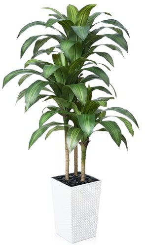 VeriNatural 150 cm Artificial Dracaena Tree, Faux Tropical Yucca Tree with White Taper Planter and River Rock, Realistic Artificial Plants & Greenery for Indoor Outdoor Home Decor