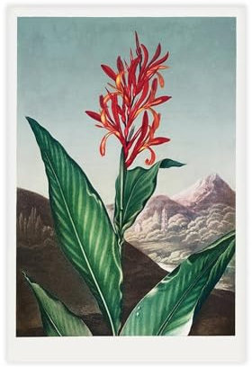 NCUDANK Vintage-Poster mit indischem Schilfrohr, Leinwand, Poster, Schlafzimmer, Dekoration, Landschaft, Büro, Raumdekoration, Geschenk, 30 x 45 cm