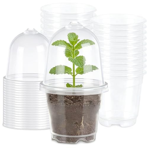 Weciau 20 Stück Anzuchttöpfe mit Feuchtigkeitskuppel, Kleine Pflanzentöpfe Plastik Ø 9cm, Anzuchttopf Rund Blumentöpfe Transparent mit Ablauflöchern für Orchideen Sukkulenten Kaktus Setzlinge