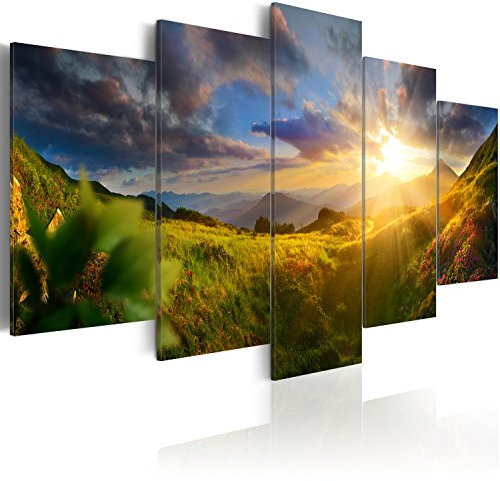 B&D XXL Acrylglasbild Landschaft Natur 200x100 cm 5 Teilig Wandbild auf Acryl Glasbilder Kunstdruck Moderne Acrylglas Platte Wanddekoration Geschenke Heimdekoration Glasbild Gebirge Wiese