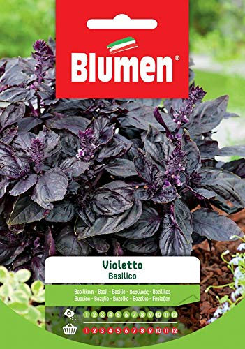 Blumen