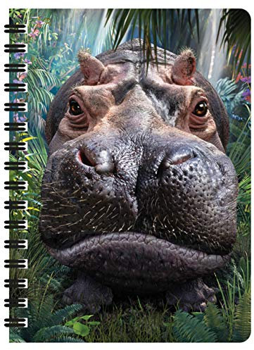 3D LiveLife Jotter - Begegnung von Deluxebase schließen. Linsenförmiges 3D-Nilpferd A6-Spiralblock. Liniertes Notizbuch mit Kunstwerken, die vom bekannten Künstler David Penfound lizenziert wurden