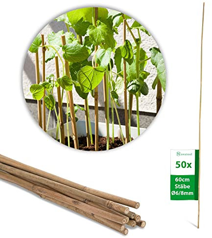 Novatool 50 Stück Tonkinstäbe 60 cm I ø 6-8 mm I Braun I Tonkinstab Pflanzstäbe Bambuspfähle Gartenpfähle Bambusstöcke Pflanzenstütze Pflanzstab Monstera Rankhilfe