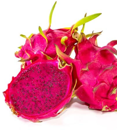 Pianta di DRAGON FRUIT ROSSO ‘Pitaya’ Hylocereus Costaricensis in vaso - h.25/30 cm
