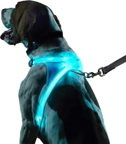 Noxgear LightHound - Revolutionary Illuminated and Reflective Vest for Dogs Including Multicolored LED Fiber Optics (USB Rechargeable, Adjustable, Lightweight, Rainproof) (Small) | 360° Light Up Reflective Dog Harness, 8 Colors & 6 Modes, USB Rechargeable, Adjustable, Rainproof, LED Fiber Optic