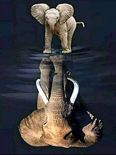 Sugamm DIY Diamond Painting Afrique L'éléphant Complet Kits, 5D Broderie Peinture Diamant Painting Réflexion Animal Kit Complet De Croix Strass Art Craft pour Home Décoration Murale 30x40 cm