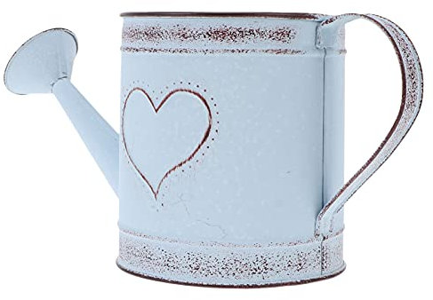 Happyyami Retro Eisen Metall Blumentopf Vintage Gießkanne Sukkulenten Pflanzer für Garten Outdoor Home Balkon Dekorative Ornament Handwerk