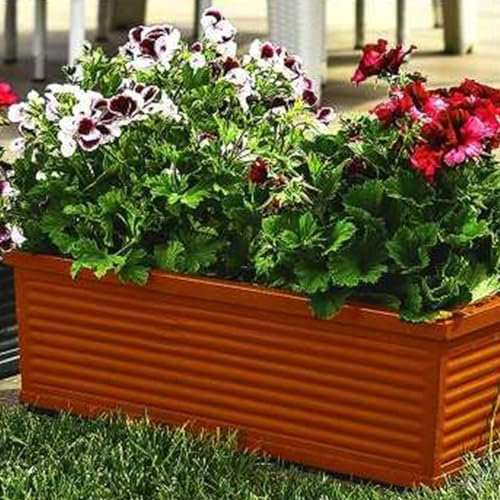 Decorspace Balkonkasten, rechteckig, aus Kunstharz, Dekoration für Blumen und Pflanzen, Made in Italy (40 cm, Terrakotta)