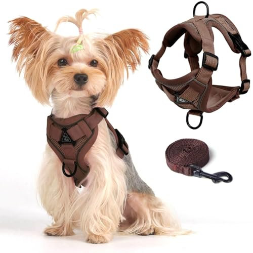 Westen Geschirr Leinen Set für kleine Hunde und große Katzen, Katzengeschirr Ausbruchsicher, verstellbare Katzenjacke mit Leine für Dicke Katzen, weicher Netzmantel mit Reflektorstreifen, XL Kaffee