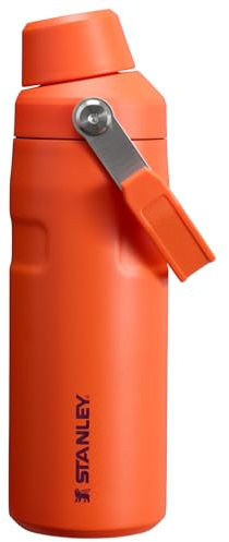 Stanley IceFlow Fast Flow Water Bottle 16 OZ | Angled Spout Lid | Lightweight & Leakproof for Travel & Gym | Insulated Stainless Steel | BPA-Free | Tigerlily Plum