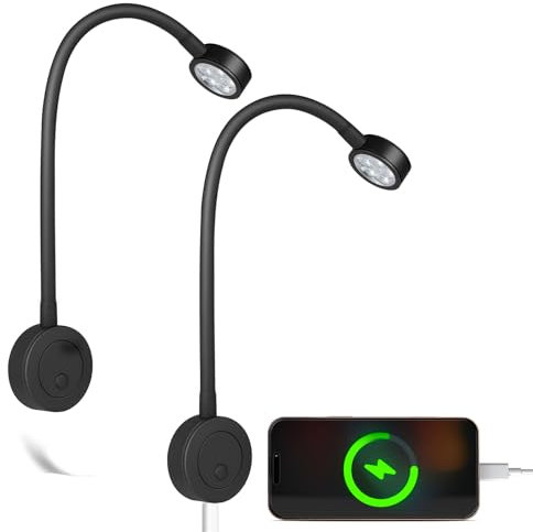 acegoo Leselampe 12V LED Dimmbar Bett Lampe, Flexible Wandmontage Schwanenhals Nachttisch DC 12-24V 3200K mit Dimmerschalter & Type-C-Ladegerät, für Boot Wohnmobil Auto Camper Van Yacht (2 pcs)