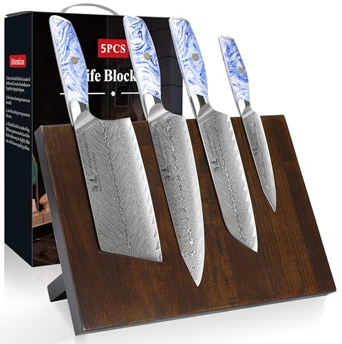 SHANGDAO DAMASCUS CUIET CUILD SETT avec bloc de couteau magnétique, 5 PCS Razor Sharp Kitchen Couteaux en acier damas japonais avec noir, Tang Ergonomic Resin Handle Chef Couteau avec boîte cadeau