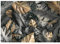 WallArena - Vlies Fototapete Blätter Monstera Pflanzen Tropical 254x184 cm - Fototapeten - Tapeten - für Wohnzimmer Schlafzimmer - Vliestapete Wandtapete Tapete 3D Effekt- inkl. Kleister