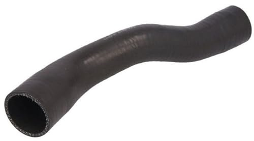 THERMOTEC DC1505TT Ladeluftschlauch Kompatibel mit NISSAN JUKE F15 144631KB0A