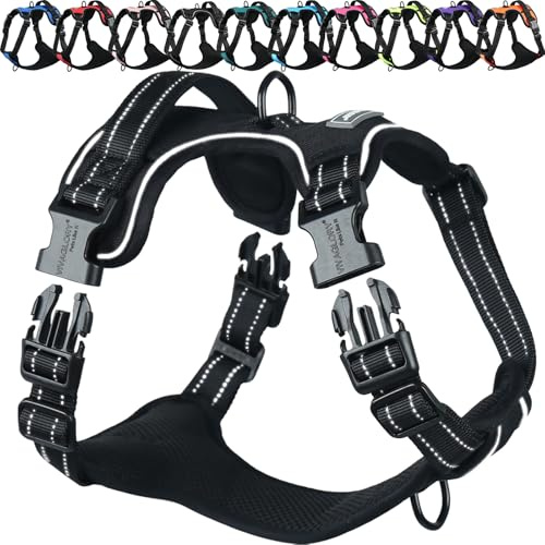 VIVAGLORY Anti Zieh Geschirr für Hunde Hundegeschirr, XS, Schwarz, B | Antizuggeschirr mit Gepolstert Griff & Brustring, Anti Zieh Mitwachsend Ausbruchsicher & Reflektierend für Welpe Hund