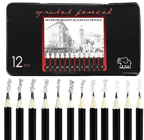 EASYKEENECOM Sketch Bleistift Set, 12 Stück Zeichenstifte Skizzierstifte Set 8B 7B 6B 5B 4B 3B 2B B HB F H 2H, Professionelle Bleistifte für Kinder Erwachsene Künstler Studenten Anfänger