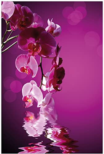 Wallario Wandbild aus Acryl, 60 x 90 cm, freischwebende Optik - Rosafarbene Orchidee Blüten in pink