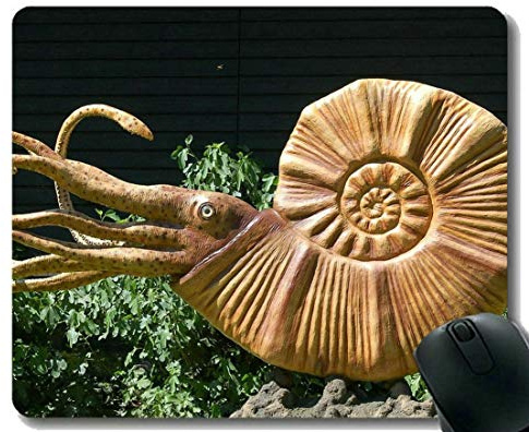 Mausunterlage Personifiziertes, glückliches rutschfestes Gummibasis Mousepad des Dinosaurier-Nautilus
