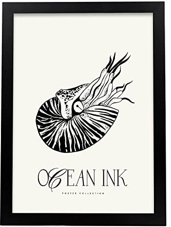 Nacnic Nautilus Poster, A3, ohne Rahmen, Druck im nordischen Stil für die Dekoration von Wohnzimmerwänden, Schlafzimmern, Büros.