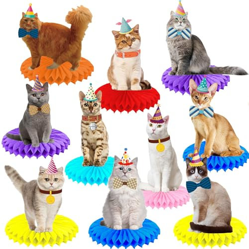 Calkkrer 10 Stück Honigwaben Katzen Tischdeko, Niedliche Katzen Geburtstag Dekoration, Partyzubehör Katzenmotiv, Geburtstagsdekoration Katze, Katzengeburtstag Shower