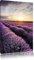 Pixxprint Traumhafte Lavendel Provence, Größe: 60x40cm, Leinwandbild, fertig gespannt, Wandbild, Dekoration, Kunstdruck, kein Poster