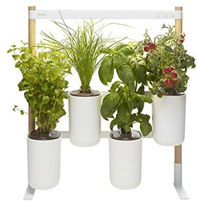 Modulo, Ihr wandelbarer und smarter Indoor-Garten ❃ Bauen Sie das ganze Jahr über Ihre eigenen frischen Kräuter an ❃ Inklusive Basilikum, Marokkanische Minze, Schnittlauch und Kirschtomaten