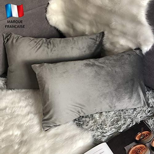 Douceur De Plumes 2er Set dekorativen Kissenbezügen aus grauem Samt, 40x80 cm, glatt, moderner rechteckiger Kissenbezug, skandinavisches Wohnzimmer Dekor Maussofa Schlafzimmer Bett (2 Grau)