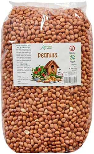 Premium Wild Bird Food 5L Refill, (5L Bag, Peanuts)