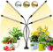 Wolezek Pflanzenlampe Vollspektrum, 2er Pack 80 LED Grow Lights mit Clip, Auto-Timer 6/12/16 Std, 3000K/5000K/660nm Pflanzenlicht Wachstumslampe für Zimmerpflanzen, Gewächshaus, Blumen, Gemüse