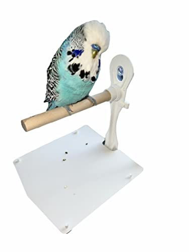 Vogelständer mit Saugnapf Aufhängen im Fenster Glass, Sitzstangen Vogelzubehör für Nymphensittich Kanarienvogel Agaporniden