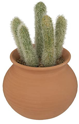 JJA Cactus Pot Terre Cuite Terra Ali 17X8CM