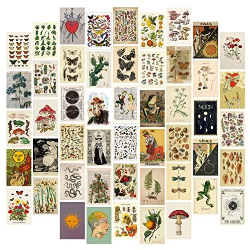 50Pcs 4x6 Inch Posters Vintage Decor Wall Collage Kit Pictures, Botanical Wall Art Posters for Room Aesthetic Decor for Bedroom Cottagecore Decor