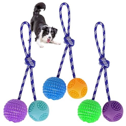Hundeball mit Schnur, 3 Stück Ball am Seil Naturkautschuk, Hundespielzeug Ball, Ball mit Schnur Hund, Wurfball Hund, Ball für Hunde, Bälle Spielzeug am Seil für Hunde, Ideal für Große & Kleine Hunde