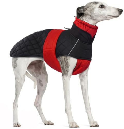 Windhund Wintermantel, Lurcher Hundejacke Wasserdicht Windhund Mantel mit Geschirrloch Outdoor Hundebekleidung für Whippet Lurcher Salukis