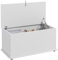 HOMCOM Cassapanca, Panca Contenitore Multiuso con Cerniere di Sicurezza, Panca Portaoggetti Scarpiera in Legno con Coperchio per Ingresso, Corridoio, Camera da Letto, Soggiorno, 80x40x40cm, Bianco
