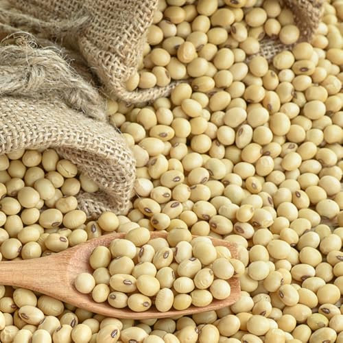 semillas de soja, semillas de frijol semillas de brotes de soja jardín de hierbas siembra de huerta semillas de hierbas semillas de verduras Plantas medicinales semillas de frijol 50pcs