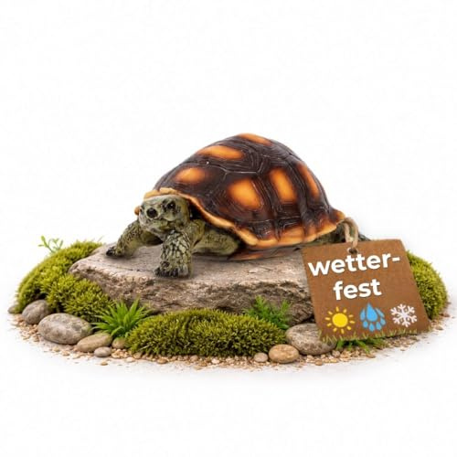 TOPANBIETER 999 Gartenfigur Schildkröte Klein – Gartendeko aus Polyresin für Garten, Terasse und Balkon – frostbeständig & UV-geschützt – Tierfigur für innen & außen