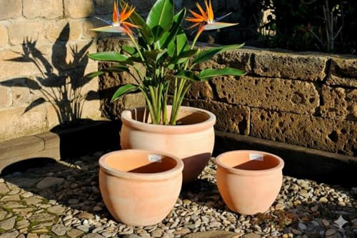 GartenGees Pflanzkübel,Pflanzgefäß,Blumentopf,helles Terracotta,frostfest!3 Größen wählbar (28cm Ø)