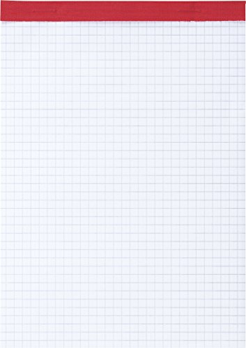 Baier & Schneider Brunnen 1055432 Notizblock (A5, kariert, 50 Blatt, geheftet und perforiert, 60g/m²)