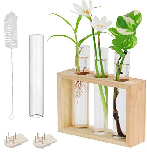 BELLE VOUS Hängende Glas Reagenzgläser für Blumen - 4 Kleine Vasen Set (1 Ersatz) mit Holzständer - Reagenzglas Vase für Pflanzen, Pflanzenvermehrung, Hydrokultur & Deko für Tisch oder zum Aufhängen