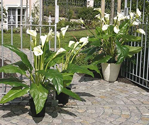 artplants.de Kunstblume Zantedeschia Laurence, weiß, 130cm, 8x13cm - Künstliche Calla