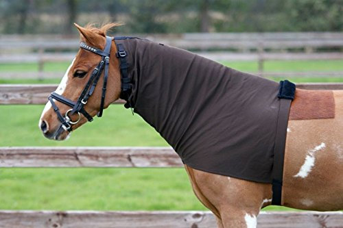 QHP Eczema de manta de cuello XS Marrón