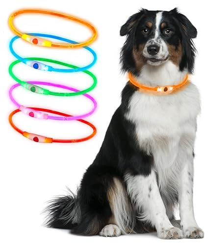 Ultra Orange Silicone 70cm LED Light Up Dog Collar Cut to Size Rechargeable 3 Settings Large Dogs Medium Dogs Small Dogs Puppies Cats Flashing Dog Collar Lights for Night Safety USB Charging Collars